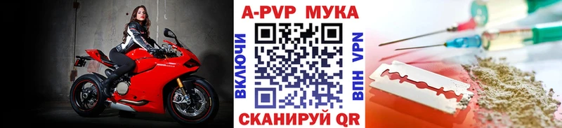 как найти закладки Гай Alpha PVP СК