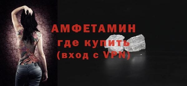 твердый Бородино