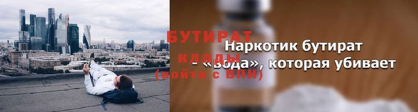 твердый Бородино