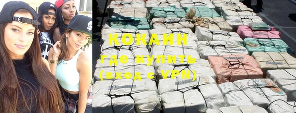 сатива Бронницы