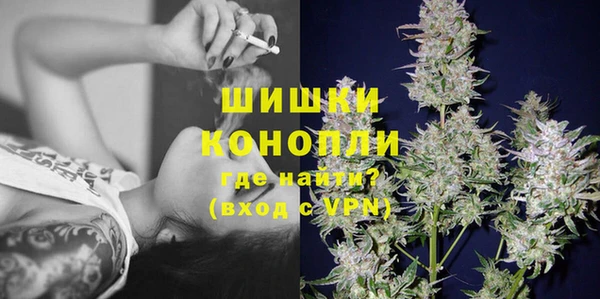 твердый Бородино