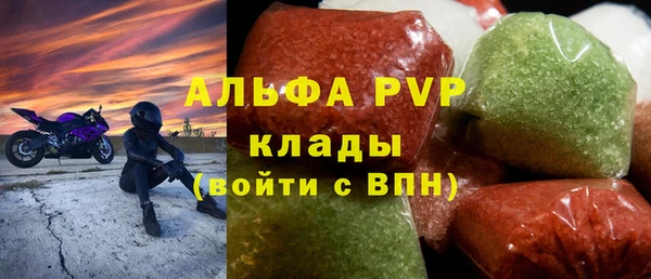 ECSTASY Богданович