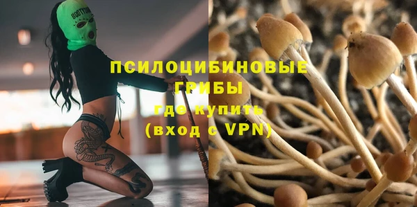ECSTASY Богданович