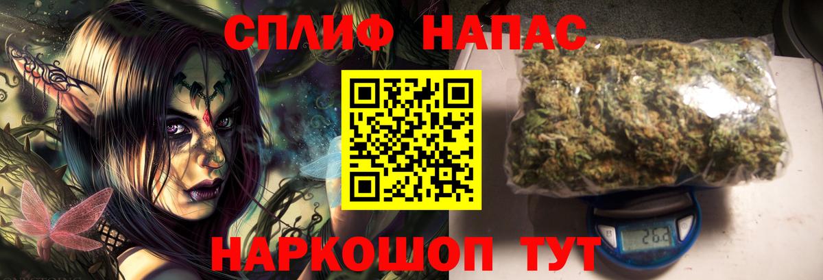 Канабис гибрид Гай